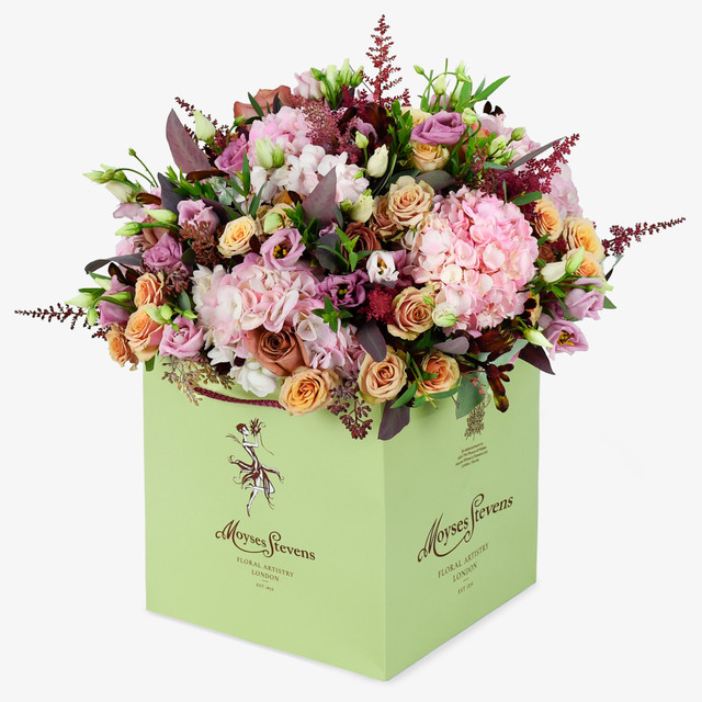 Dusky Rosefall
