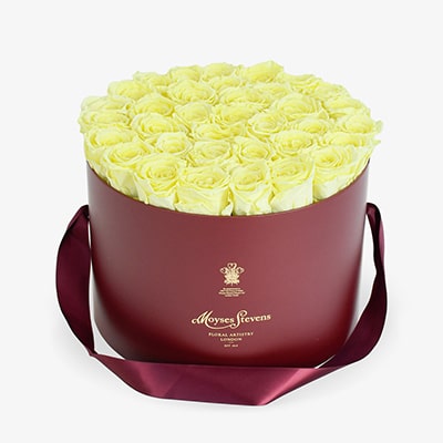 Yellow Rose Hatbox