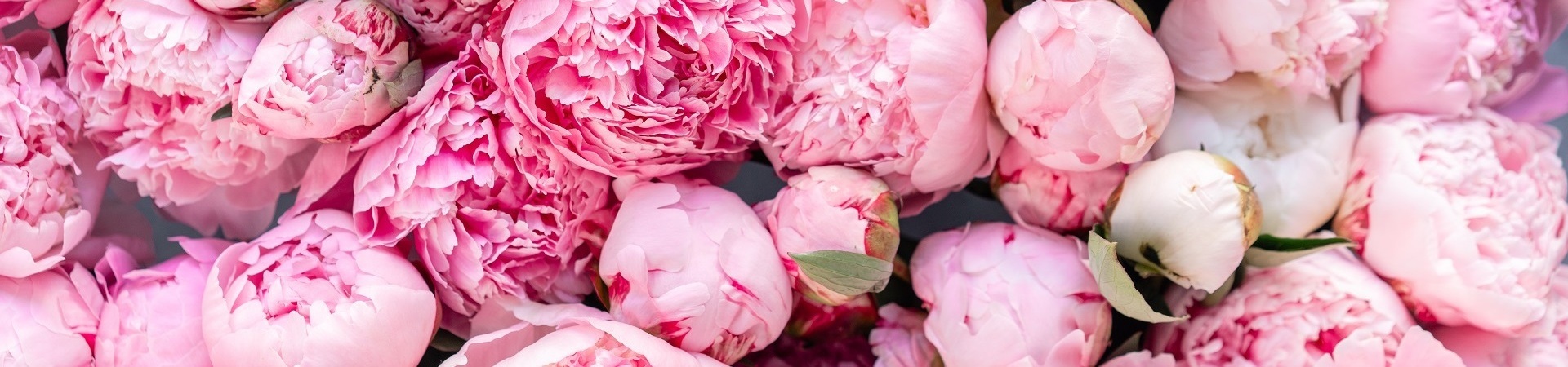 luxury-peonies-uk.jpg