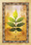 Celtic Tree Oracle