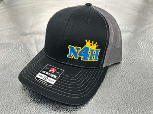Team Not 4 Hire Snapbacks