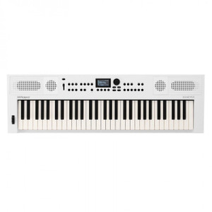 Roland GO:KEYS 5 (White) Arranger Keyboard Top