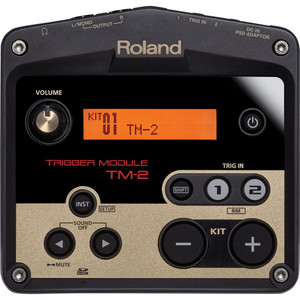 Roland TM2 1