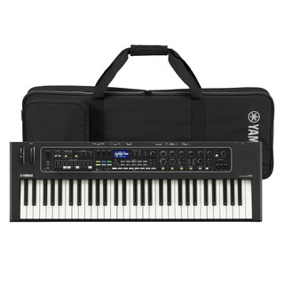 Yamaha CK61 61 key (FSB) Future System Basic keyboard - Music Matter