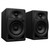 Pioneer DM-40D Pairm Active Studio Monitors Angle