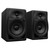 Pioneer DM-50D (Pair) Active Studio Monitors Angle 