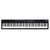 Roland RD-08 Digital Stage Piano Top