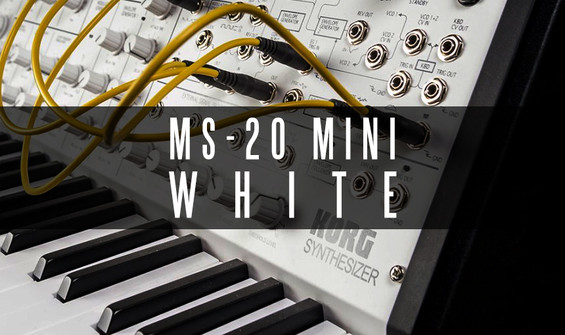 Korg MS-20 Mini Limited Edition White Analog Synthesizer