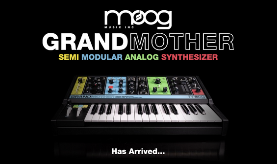 Moog Grandmother Semi Modular Analog Synthesizer - Has Arrived!