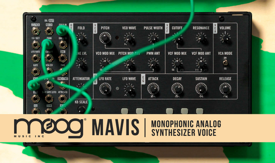 Moog Mavis Monophonic Analog Synthesizer Voice