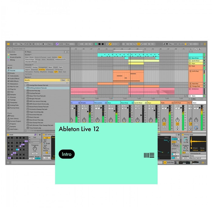 Ableton Live 12 Intro (Download) DAW Software