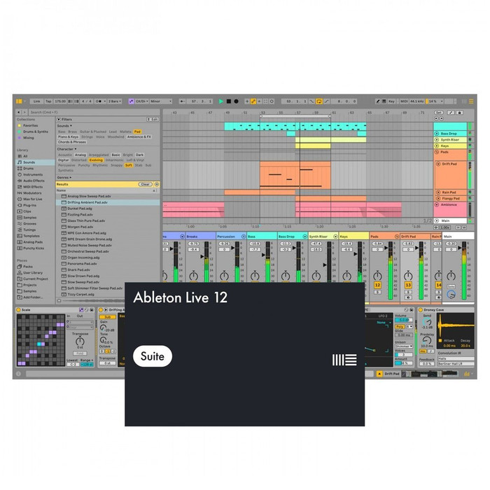 Ableton Live 12 Suite Upgrade from Live 1-11 Standard (Download) DAW Software MIDI