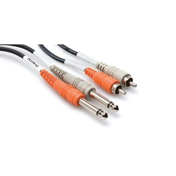 Hosa Dual 1/4 in TS to Dual RCA 10FT