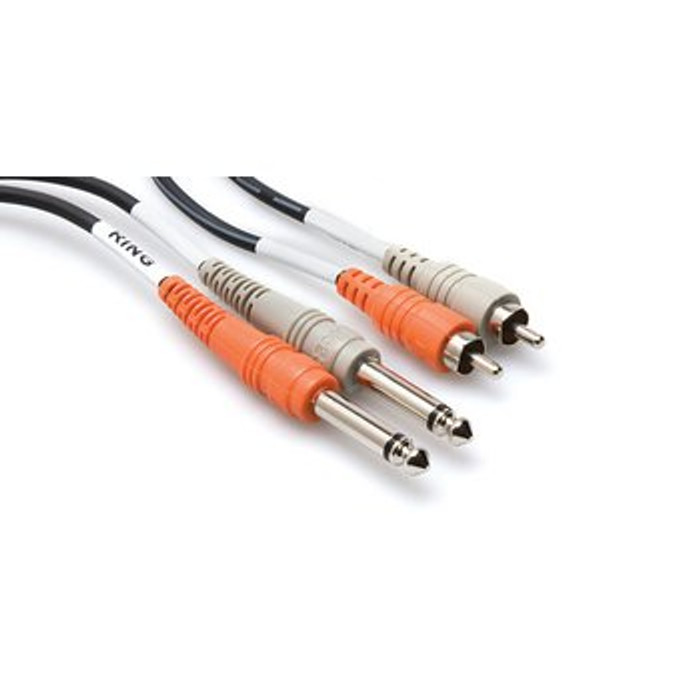 Hosa Dual 1/4 in TS to Dual RCA 20FT