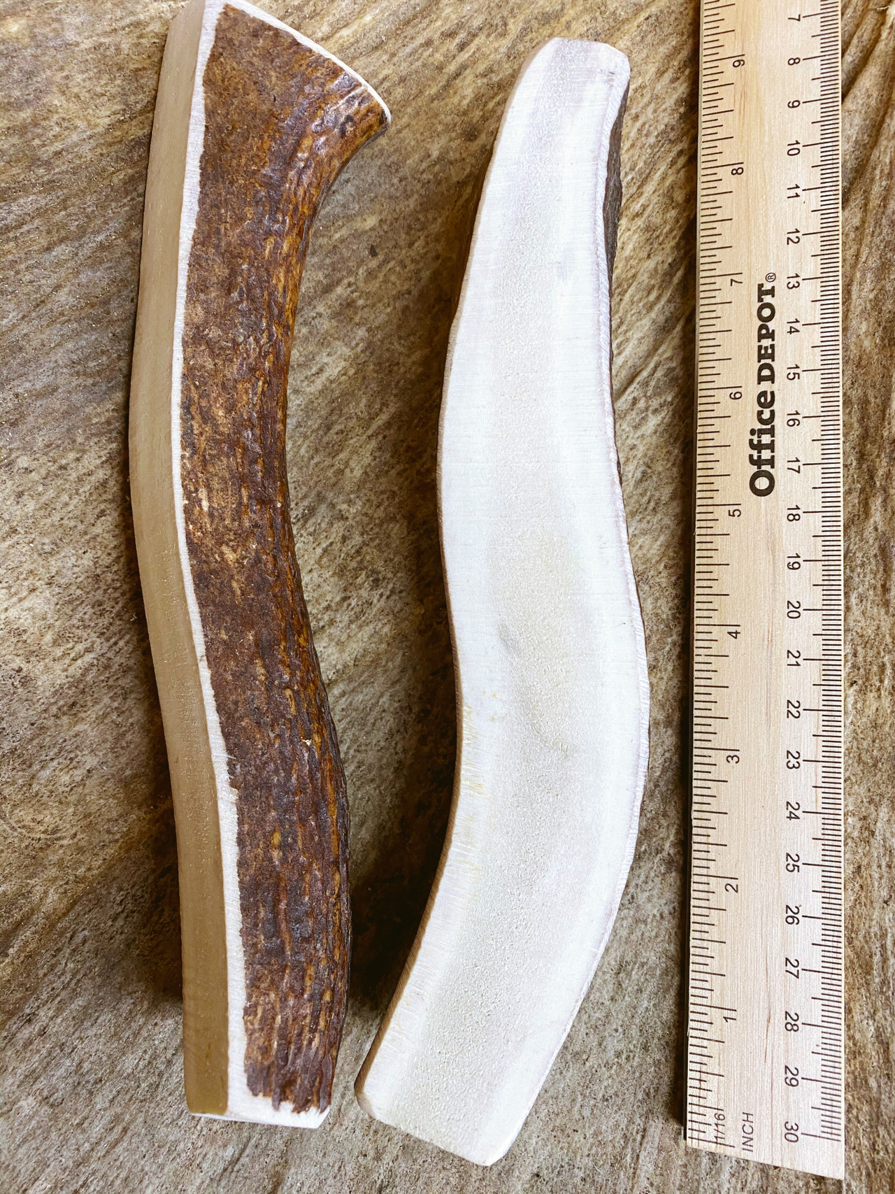 America's Best Moose Antler Chews | Mountain Dog Chews