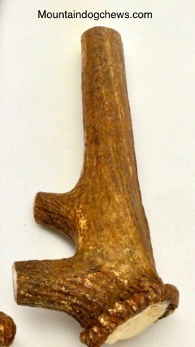 NEW!!! Super Mammoth Whole Elk Antler Dog Chew