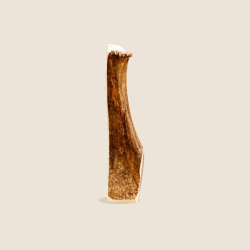 Large Split Moose Antler Dog Chew on a beige background