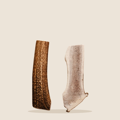 Two medium split elk antler dog chews