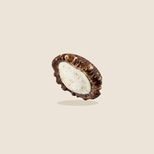 Mountain Dog Medallion Elk Antler Dog Chew on a beige background