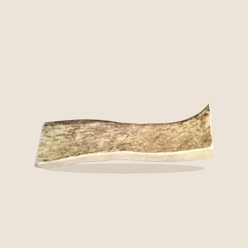 Mammoth Moose Paddle Antler Dog Chew on a beige background