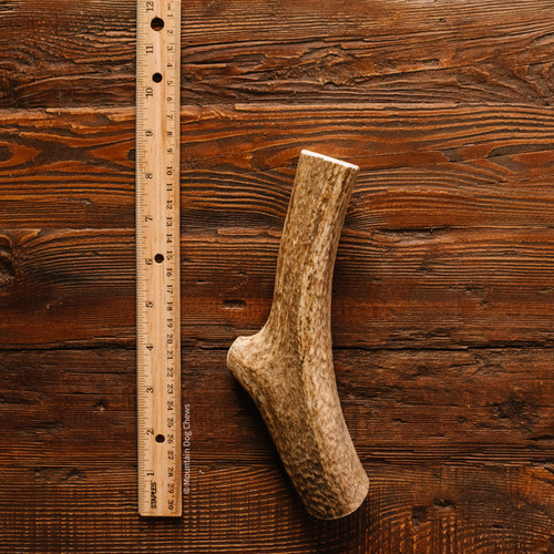 Large Whole Elk Antler Dog Chew