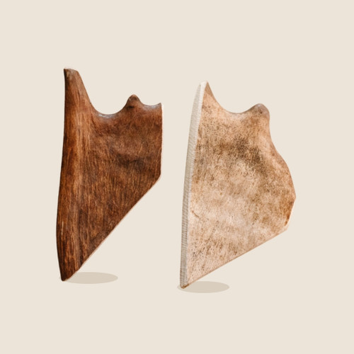 2-Pack Medium Moose Paddle Antler Chews on a beige background