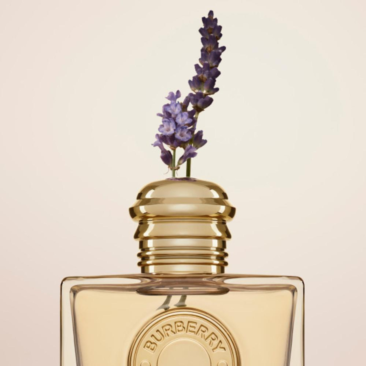 Burberry Goddess Intense EDP - 6445022 | Milan Malpensa Boutique