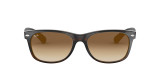 Ray-Ban Chris Rubber Havana