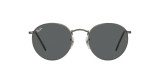 Ray-Ban sunglasses 0RB3447 green black