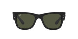Ray-Ban Sunglasses RB0840S