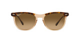 Ray-Ban Sunglasses 0RB2398 Havana Brown Shaded
