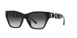 Emporio Armani sunglasses 0EA4203U black gradient