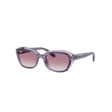 Purple Grey Gradient Violet