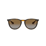 Ray-Ban Erika Sunglasses RB4171 - 2439231