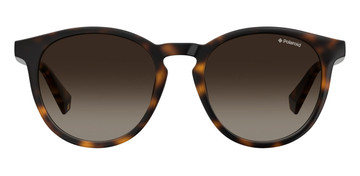 Polaroid Sunglasses 6098/S Dark Brown Polarized