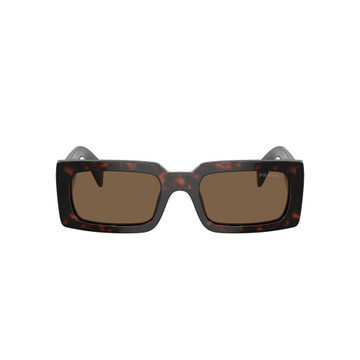 Brown Briar Trotoise