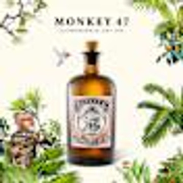 Monkey 47 Schwarzwald Dry Gin Traveller's Compendium Edition - 6236207