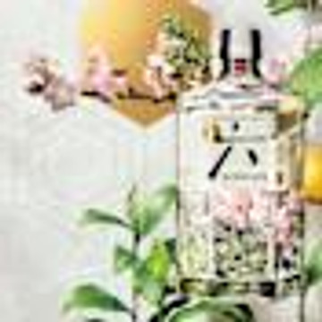 Roku Japanese Gin - 5253684