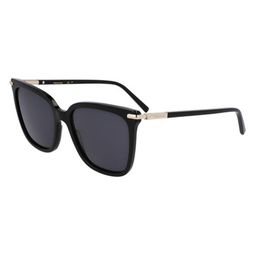 Salvatore Ferragamo Sunglasses SF2037S - 6641641