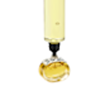 爱马仕 "充电 "巴雷尼亚浓香型淡香水 125ml - 6924837