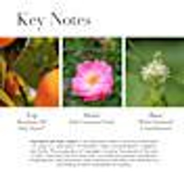 伊丽莎白雅顿第五大道之爱 75ml EDP