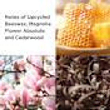 Elizabeth Arden Sunflowers HoneyDaze 100ml EDT Elizabeth Arden Sunflowers HoneyDaze 100ml EDT