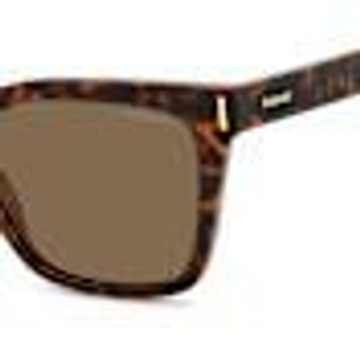 Brown Brown-Brown Brown Brown-Brown