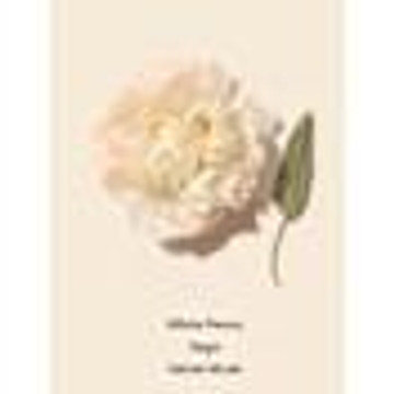 多利亚的秘密 Bombshell Seduction EDP 7ml - 6847697