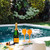 Veuve Clicquot Yellow Label Champagne