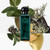 Hermes Eau D'Orange Verte EDT