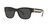 Dolce & Gabbana Sunglasses 0DG4390 Black