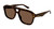 Gucci GG1263S havana brown