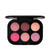 MAC Connect In Colour Eye Shadow Palette Rose
