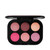 MAC Connect In Colour Eye Shadow Palette: Rosie Tones